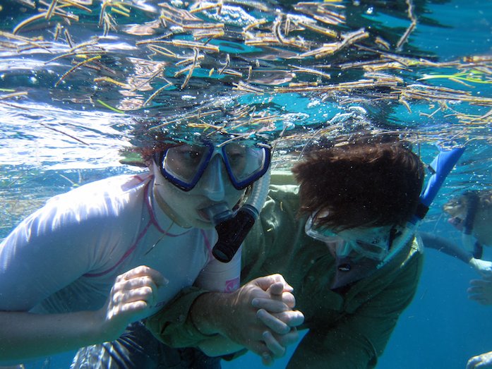 Snorkeling with Sharks 