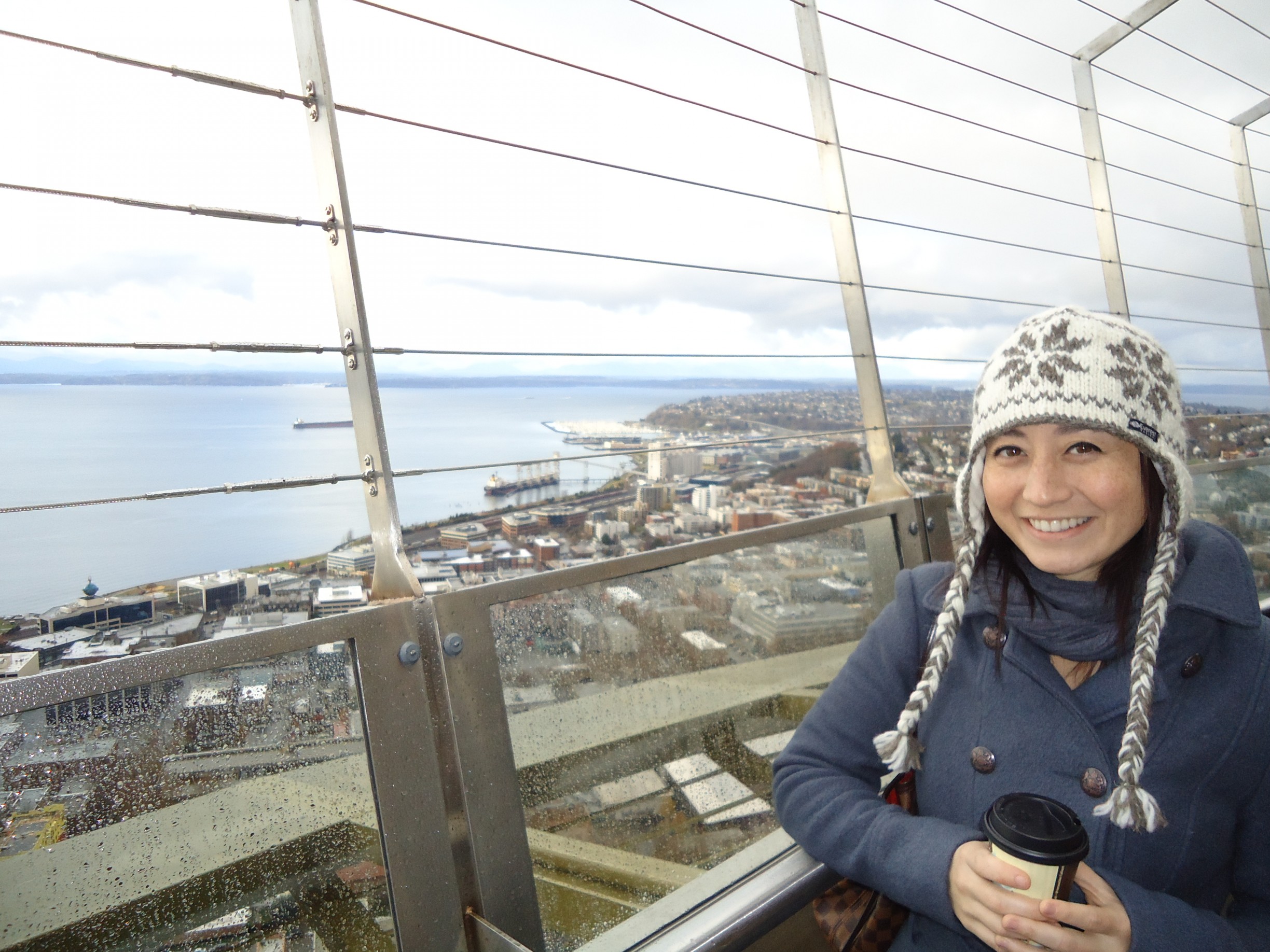 View from the Space Needle