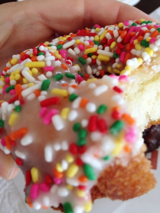 rainbow sprinkle donut