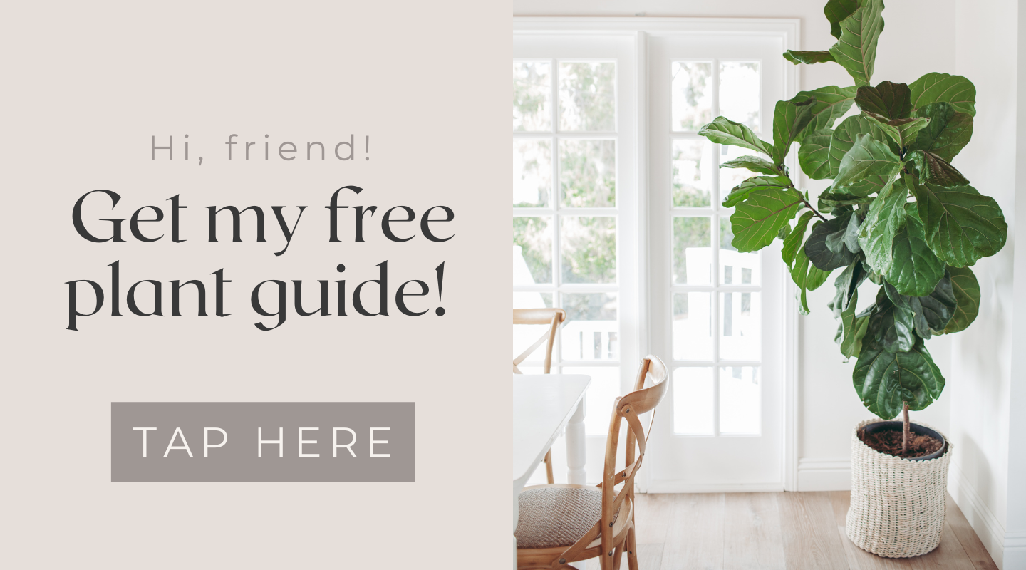 free plant guide