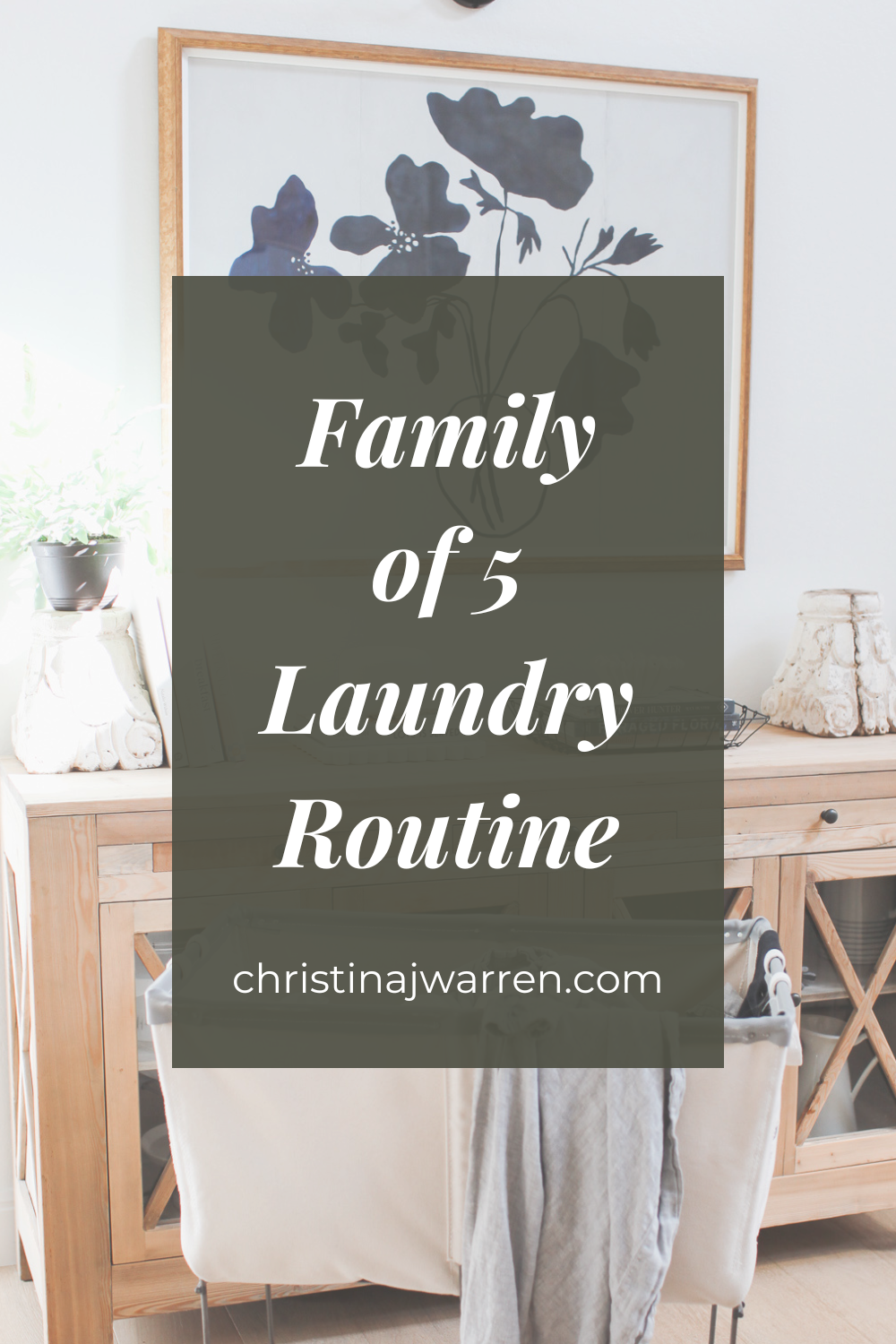 Family of 5 laundry routine